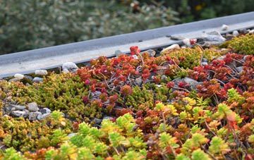 the cost of Caerllion Or Caerleon green roof installation