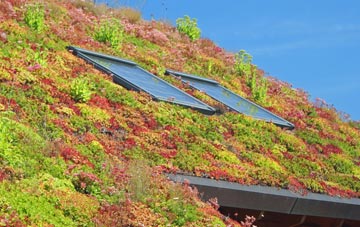 Caerllion Or Caerleon living roof systems